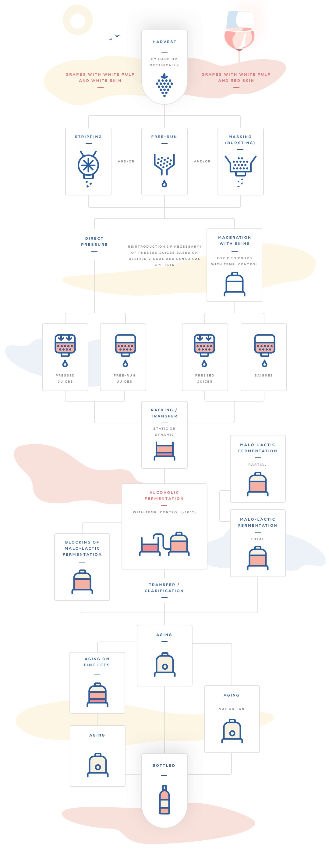 vinification_flowchart.raw.jpg